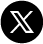X Icon